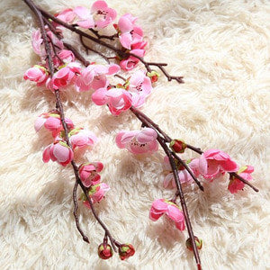 Plum Blossom (5g)