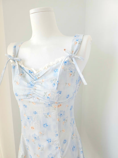 Blossom Belle Blue dress